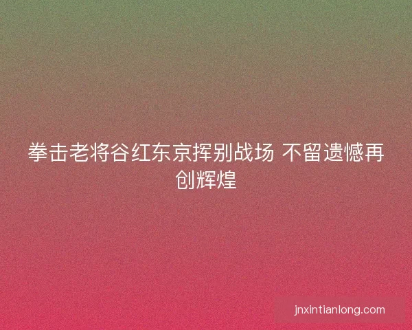 拳击老将谷红东京挥别战场 不留遗憾再创辉煌